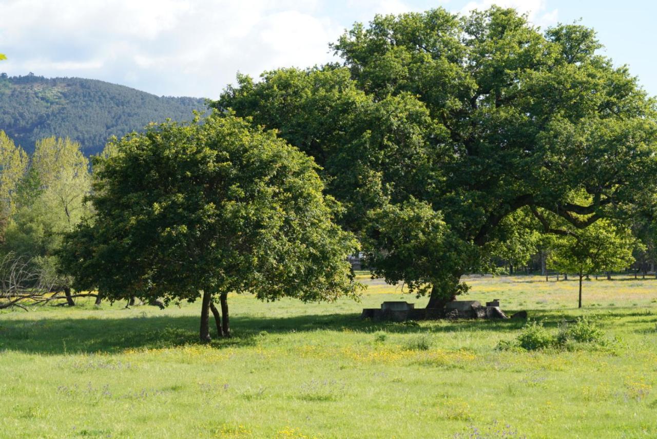 شقة Quinta Do Areal Lousã المظهر الخارجي الصورة